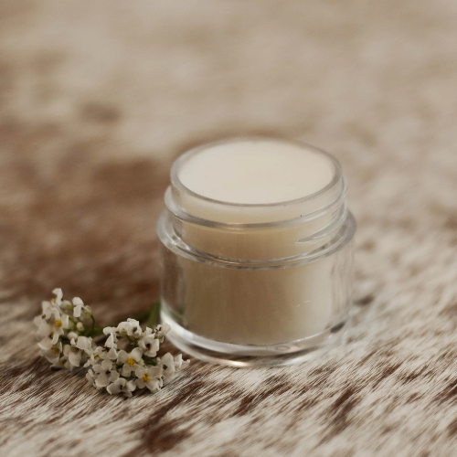 Lip Refresher